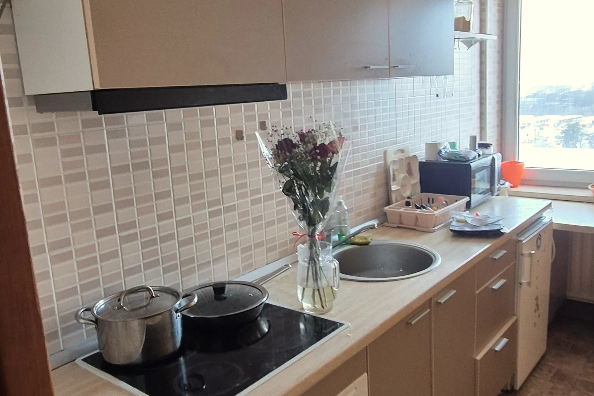 Kas yra 55 punktų standartas ir ką apima kiekvienas vizitas